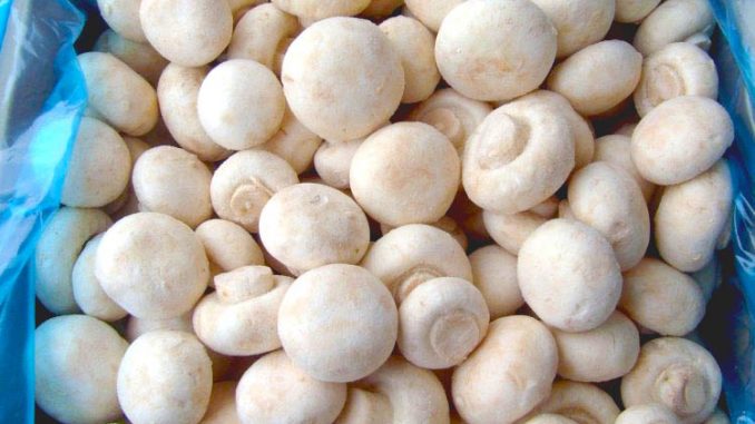 frozen-mushrooms-1044628