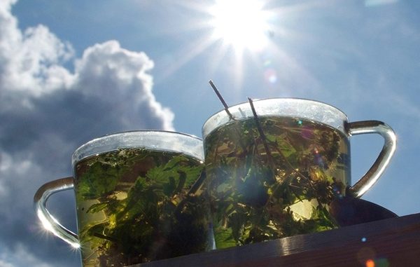 health_chai_v_jaru1