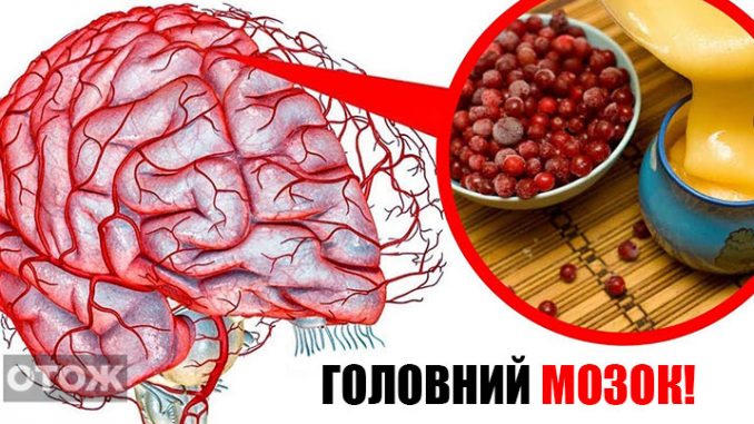 Цей-старовинний-рецепт-поліпшить-кровообіг-головного-мозку-....