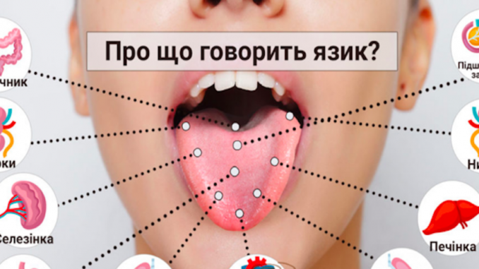 Snymok-ekrana-2023-01-22-v-14.05.31-1024x538-1-1024x500-1