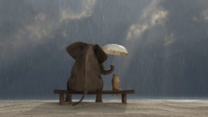 ThinkstockPhotos-160887834-1024x768-1