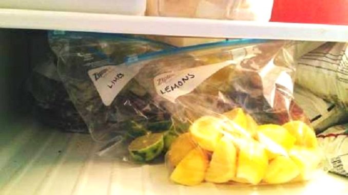 freeze-lemons1
