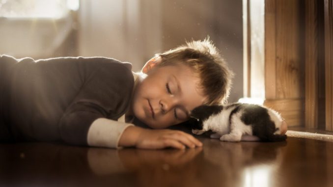 little-boy-children-cat-animals-wallpaper-1024x683-1
