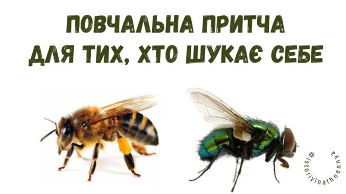 ac2f9222-d0d6-406d-8421-c4229a6da9e3-1024x576-1