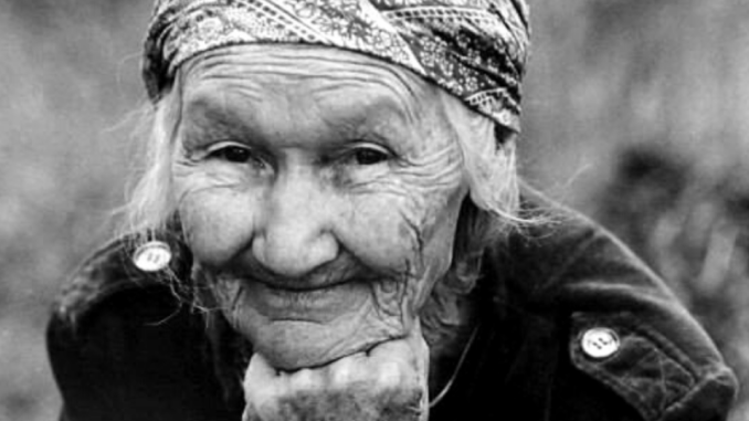 kavababushka-1024x538-1